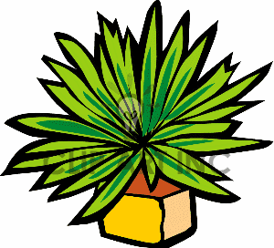 plant clipart