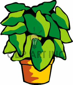 plant clipart