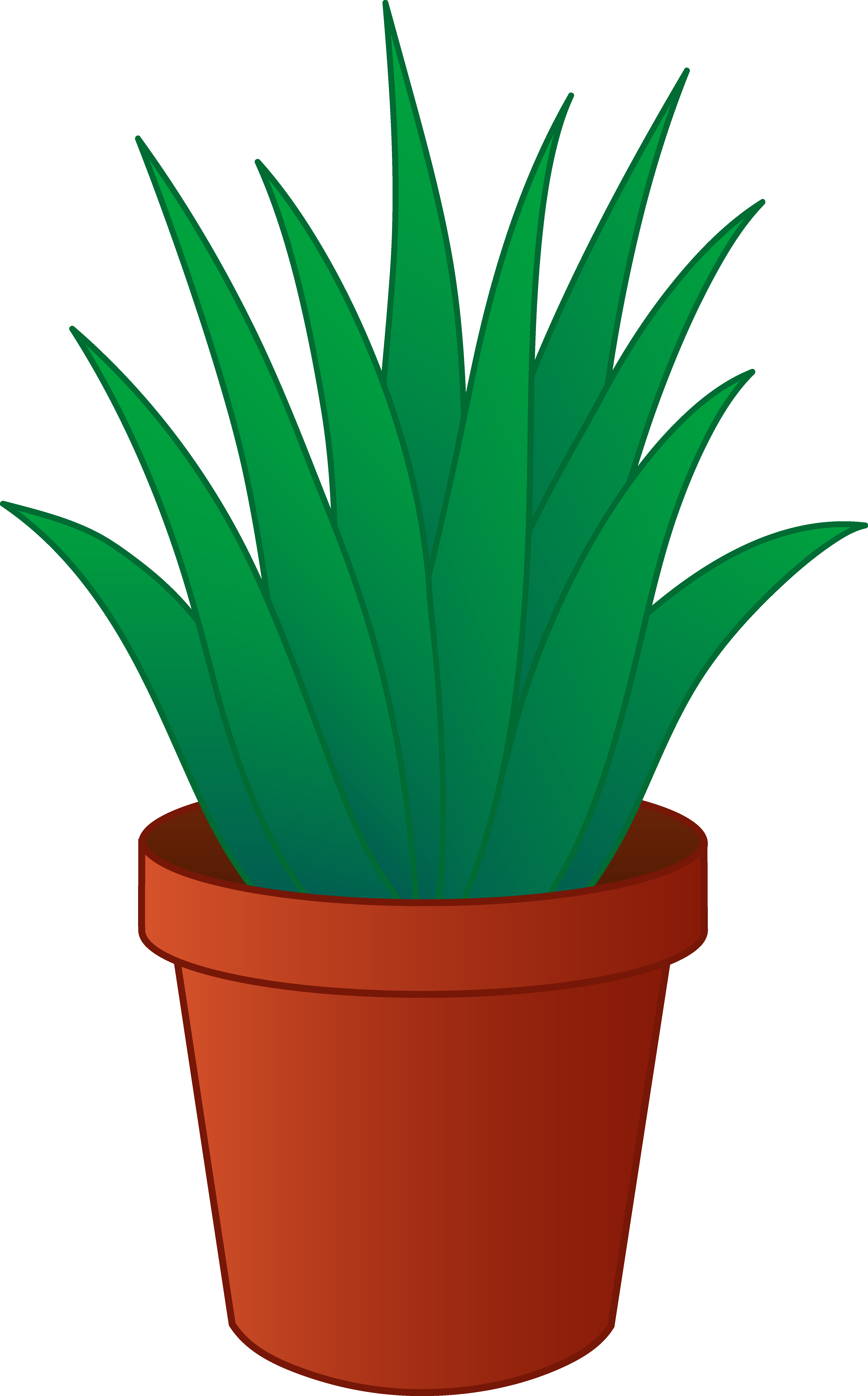 plant clipart