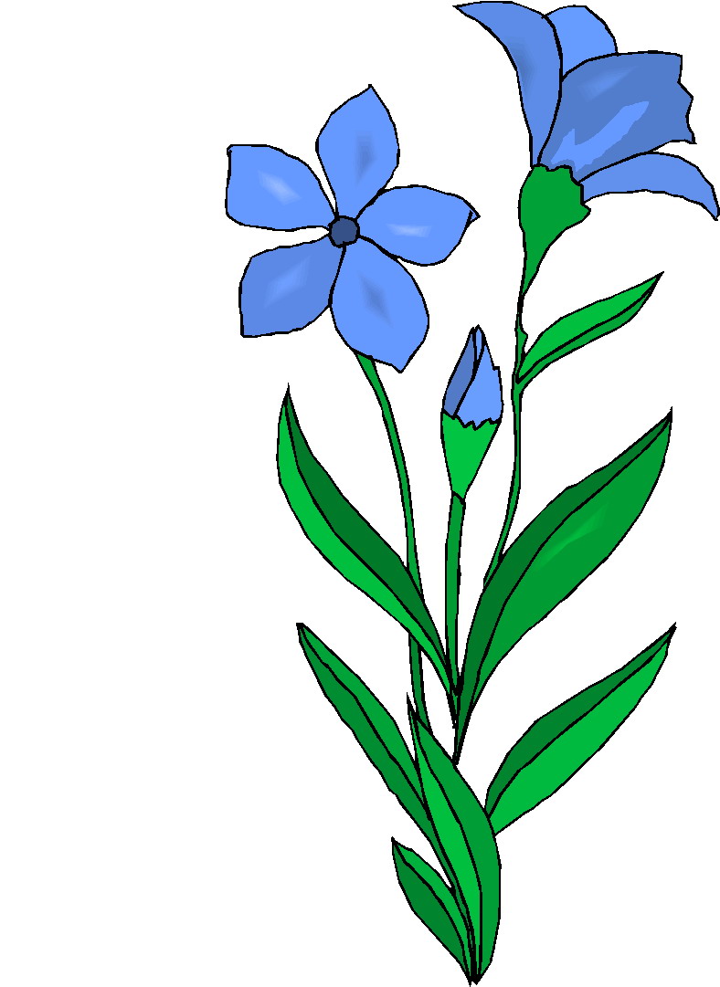 plant clipart