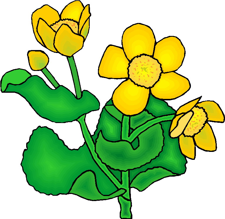 plant clipart