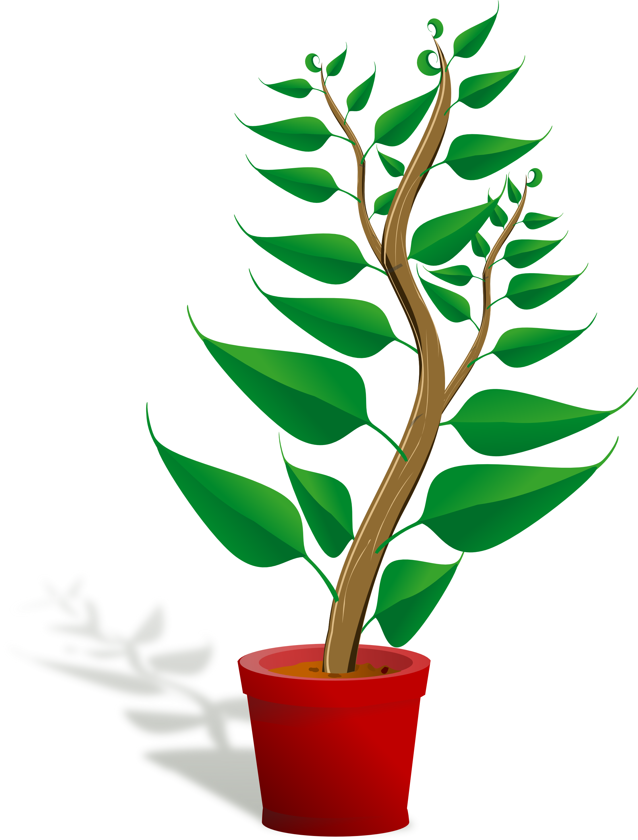 plant clipart