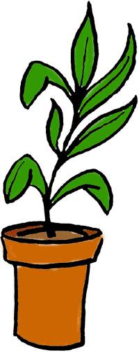 plant clipart