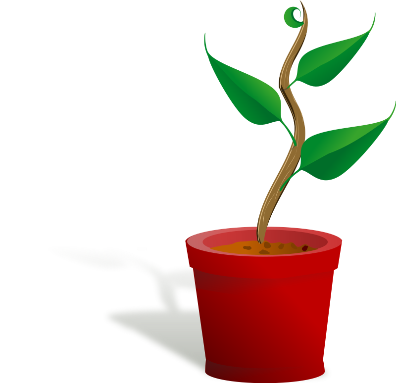 plant clipart