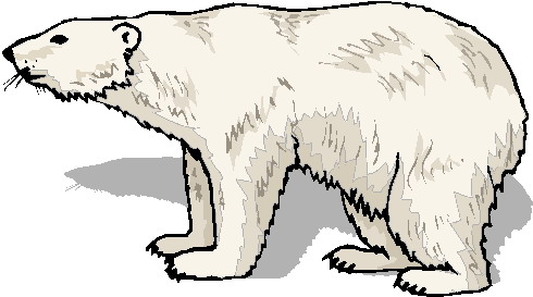 Polar Bear Clip Art