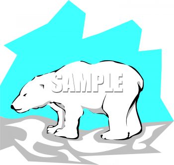 Polar Bear Clip Art