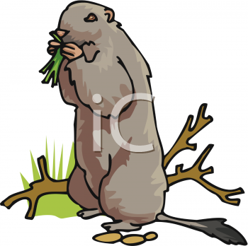 Prairie Dog Clip Art