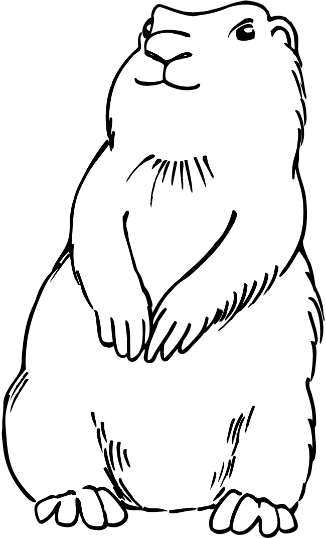 Prairie Dog Clip Art