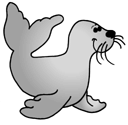 Seal Clip Art