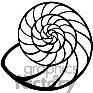 seashell clipart