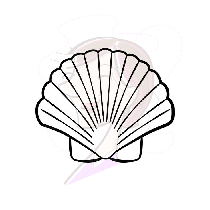 seashell clipart