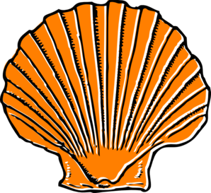 seashell clipart