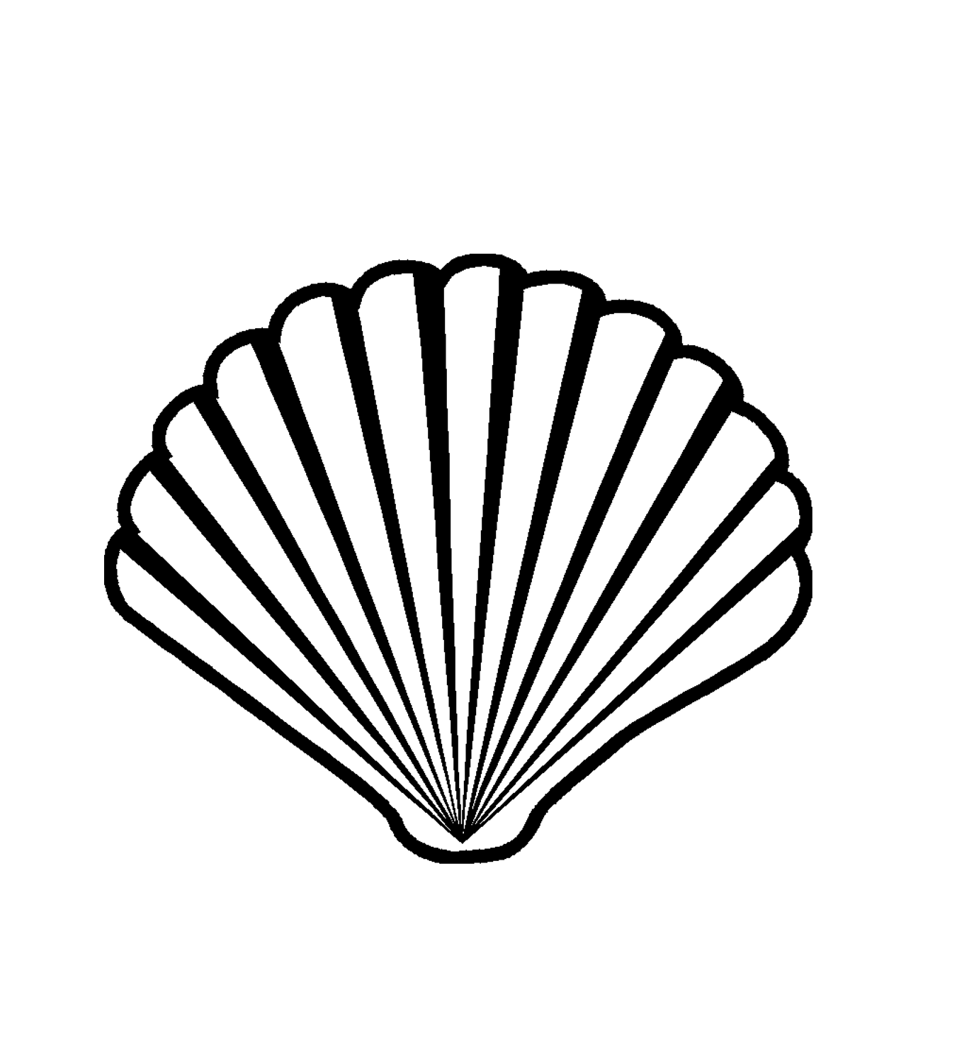 seashell clipart