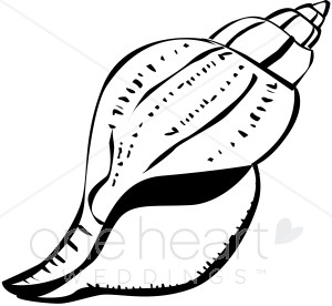 seashell clipart