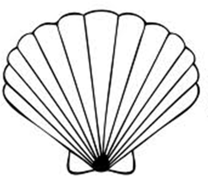 seashell clipart