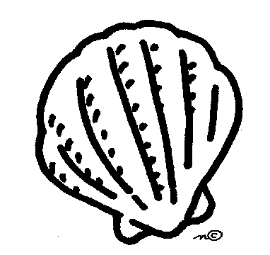 seashell clipart