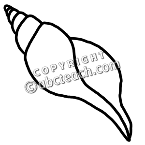 seashell clipart