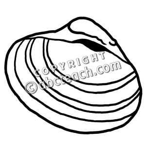 seashell clipart