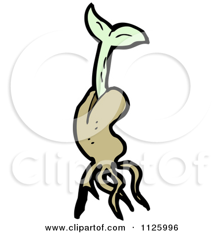 seed%20clipart