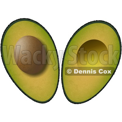 seed%20clipart