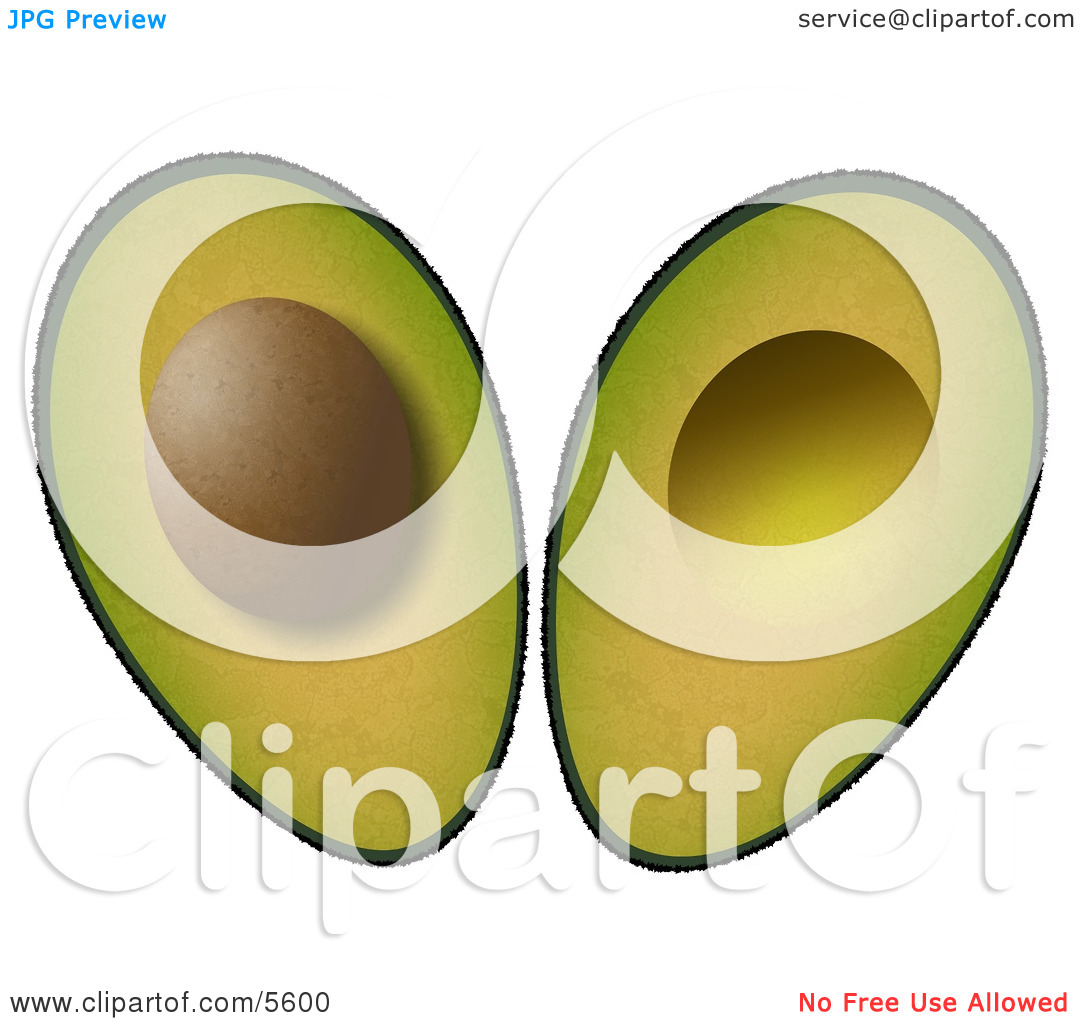 seed%20clipart