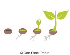 seed%20clipart