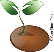 seed%20clipart