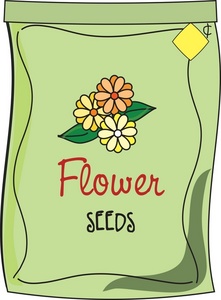 seed%20clipart