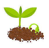 seed%20clipart