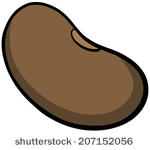 seed%20clipart