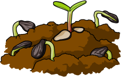 seed%20clipart