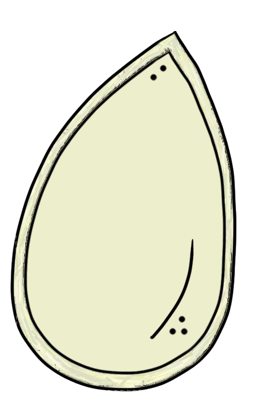 seed%20clipart