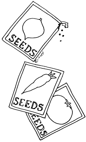 seed%20clipart