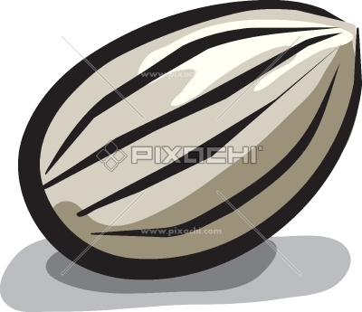 seed%20clipart