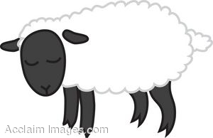 Sheep Clip Art