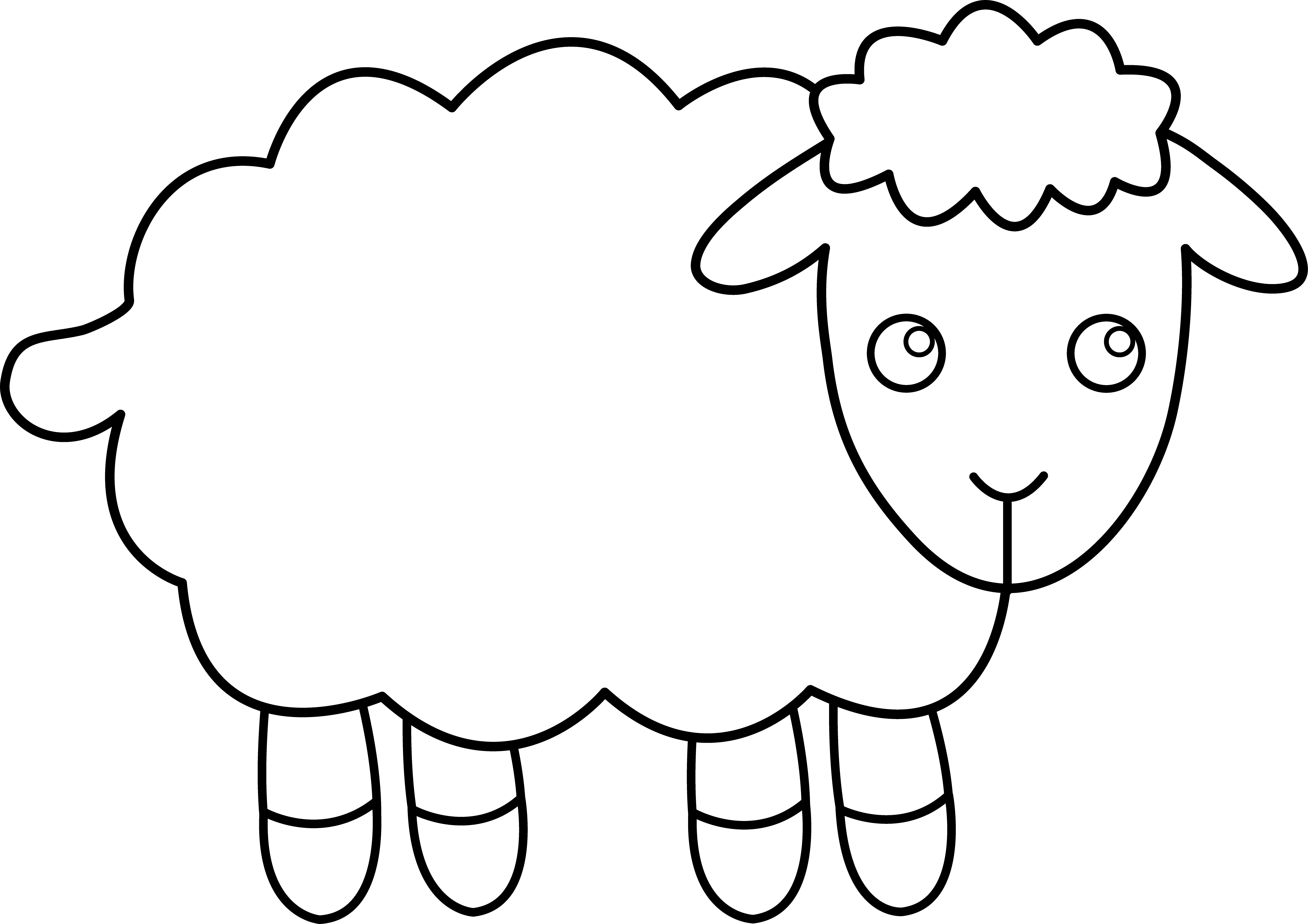 Sheep Clipart