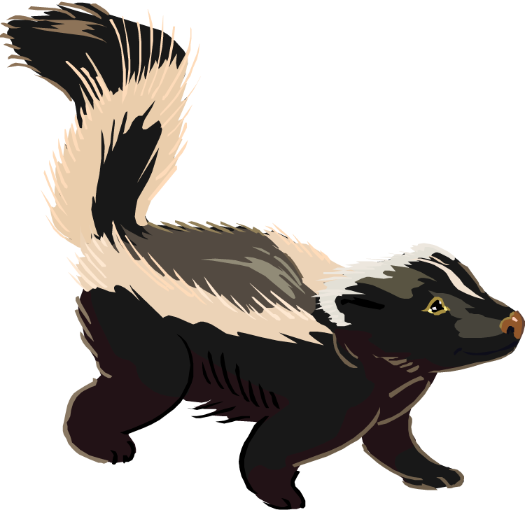 Skunk Clip Art