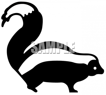 Skunk Clip Art