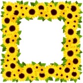 sunflower%20border%20clipart