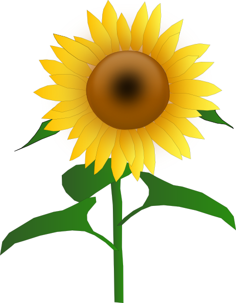 sunflower%20border%20clipart