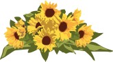 sunflower%20border%20clipart