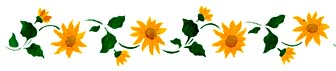 sunflower%20border%20design