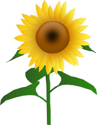 Sunflower Clip Art