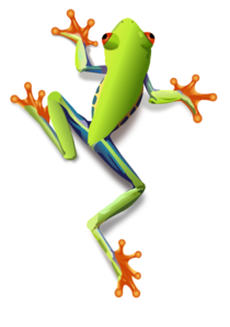 tree%20frog%20clipart%20black%20and%20white