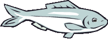 tuna%20clipart