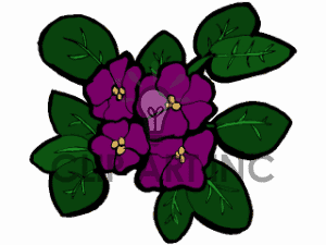 violet%20clipart