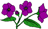 violet%20clipart