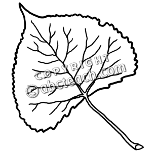 walnut%20clipart