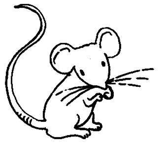 whisker%20clipart