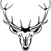 Whitetail Deer Clip Art